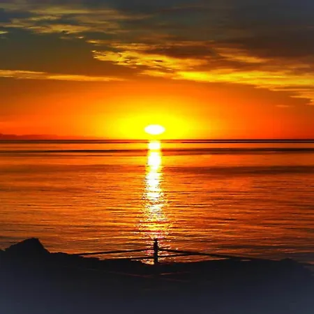 別荘 Cozy Etna With Pool *